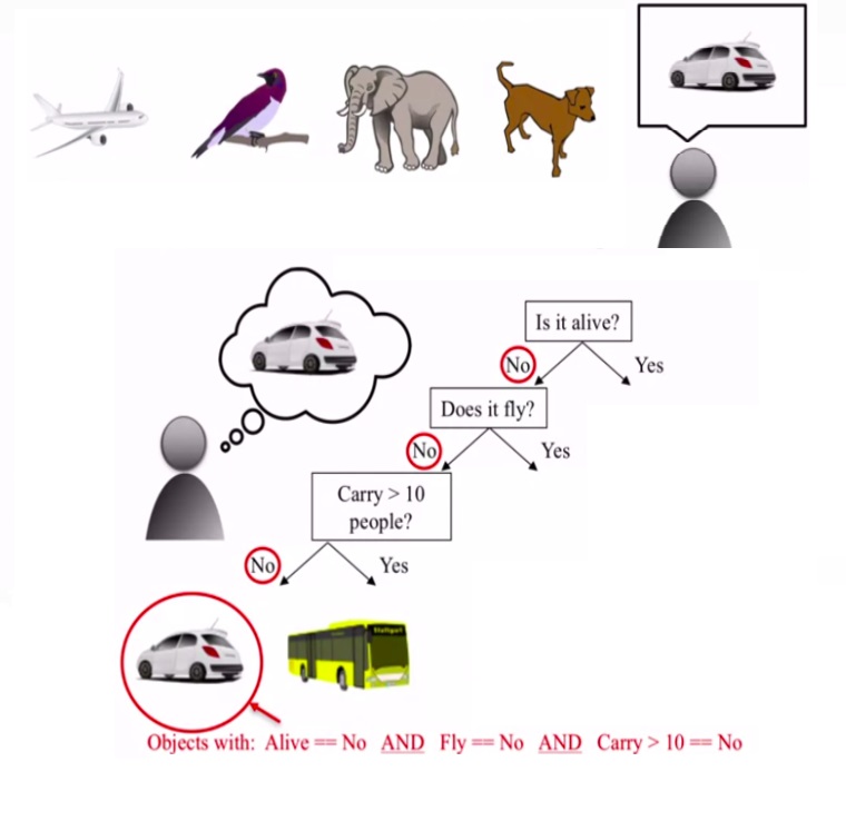 decision tree using decision tree using