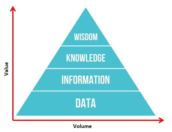 show diagrammatically pyramid show diagrammatically pyramid